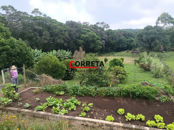 Imagem Chácara com 3 Quartos à Venda, 8 m² em Vargem Do Salto - Ibiúna Imagem Chácara com 3 Quartos à Venda, 8 m² em Vargem Do Salto - Ibiúna