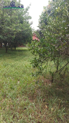Imagem Casa com 1 Quarto à Venda,  em águas Claras - Viamão