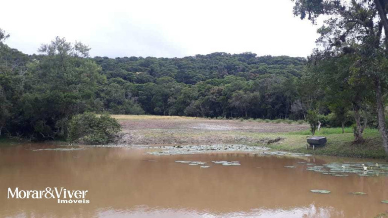 Imagem Chácara com 3 Quartos à Venda, 84.750 m² em Alexandra - Paranaguá Imagem Chácara com 3 Quartos à Venda, 84.750 m² em Alexandra - Paranaguá