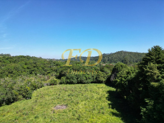 Imagem Imóvel Comercial à Venda, 220 m² em Mato Dentro - Mairiporã