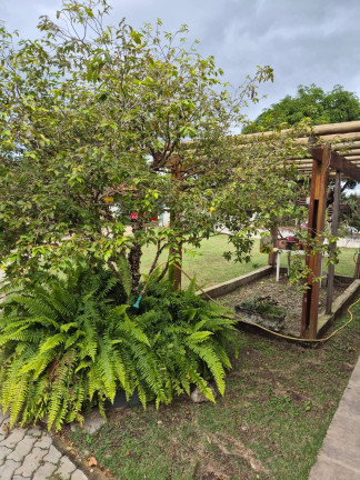 Chácara à Venda, 3.800 m² em Vila Santos - Caçapava