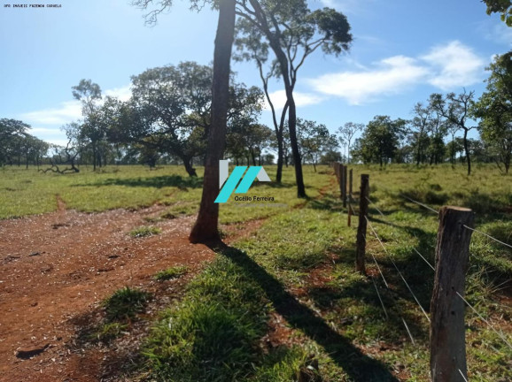 Imagem Fazenda à Venda, 25 m² em Zona Rural - Curvelo Imagem Fazenda à Venda, 25 m² em Zona Rural - Curvelo