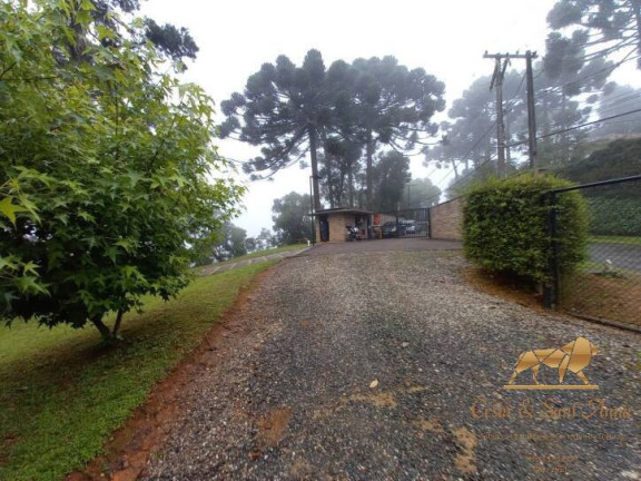 Imagem Terreno em Condomínio à Venda, 1.000 m² em Alto Boa Vista - Campos Do Jordão Imagem Terreno em Condomínio à Venda, 1.000 m² em Alto Boa Vista - Campos Do Jordão