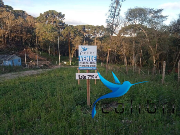 Imagem Terreno à Venda, 780 m² em Leão - Agudos Do Sul Imagem Terreno à Venda, 780 m² em Leão - Agudos Do Sul