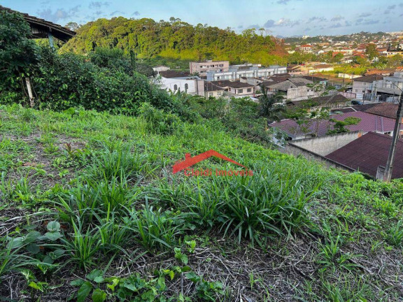 Imagem Terreno à Venda, 442 m² em Itaum - Joinville Imagem Terreno à Venda, 442 m² em Itaum - Joinville