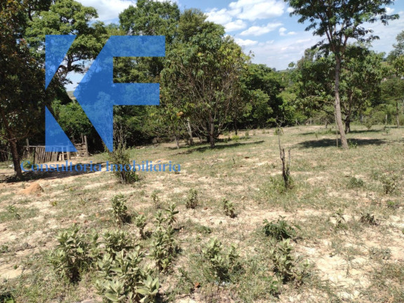 Imagem Imóvel à Venda, 5.000 m² em área Rural De Engenheiro Coelho - Engenheiro Coelho Imagem Imóvel à Venda, 5.000 m² em área Rural De Engenheiro Coelho - Engenheiro Coelho