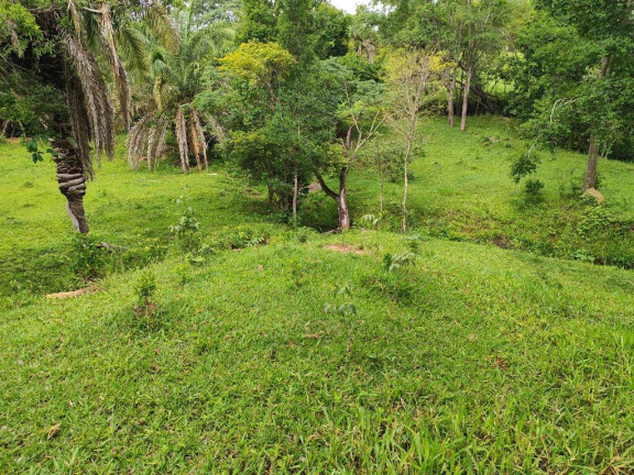 Imagem Chácara à Venda, 4 m² em Zona Rural - Anicuns Imagem Chácara à Venda, 4 m² em Zona Rural - Anicuns