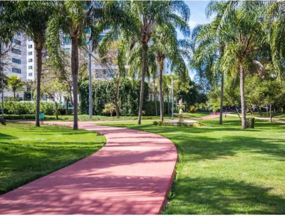 Imagem Apartamento com 2 Quartos à Venda, 75 m² em Barra Da Tijuca - Rio De Janeiro Imagem Apartamento com 2 Quartos à Venda, 75 m² em Barra Da Tijuca - Rio De Janeiro