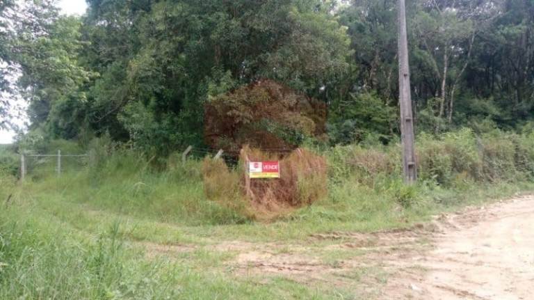 Imagem Chácara com 1 Quarto à Venda, 1 m² em Morro Do Cal - Campo Largo