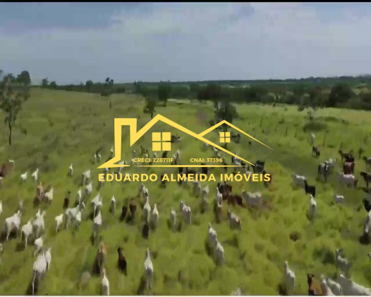 Imagem Imóvel à Venda,  em Barreira Da Onça - Arraias