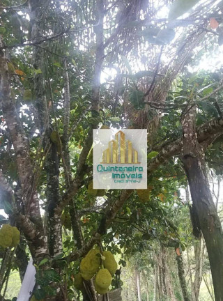 Imagem Chácara com 2 Quartos à Venda, 48.000 m² em Monte Negro - Santa Isabel Imagem Chácara com 2 Quartos à Venda, 48.000 m² em Monte Negro - Santa Isabel