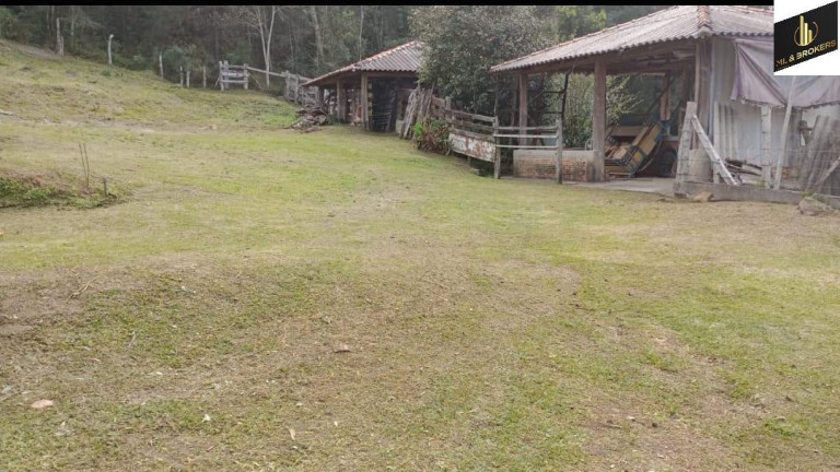 Imagem Imóvel com 2 Quartos à Venda, 32.000 m² em Rio Da Areia - Lapa Imagem Imóvel com 2 Quartos à Venda, 32.000 m² em Rio Da Areia - Lapa