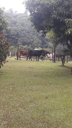 Imagem Chácara com 2 Quartos à Venda, 118 m² em Zona Rural - Angatuba Imagem Chácara com 2 Quartos à Venda, 118 m² em Zona Rural - Angatuba