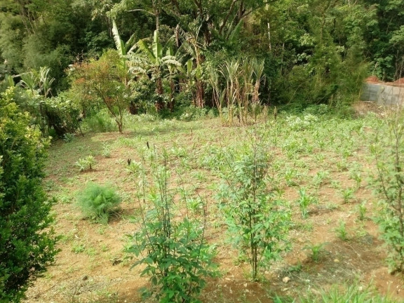 Imagem Terreno à Venda, 317 m² em Jardim Tercasa - Mairiporã