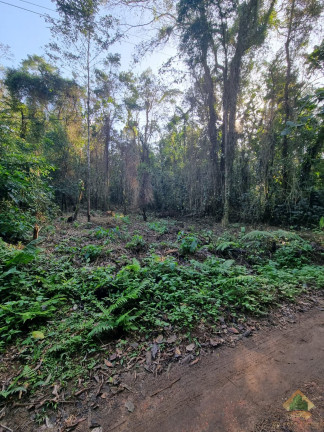 Imagem Terreno à Venda, 7.500 m² em Horto Florestal - Ubatuba