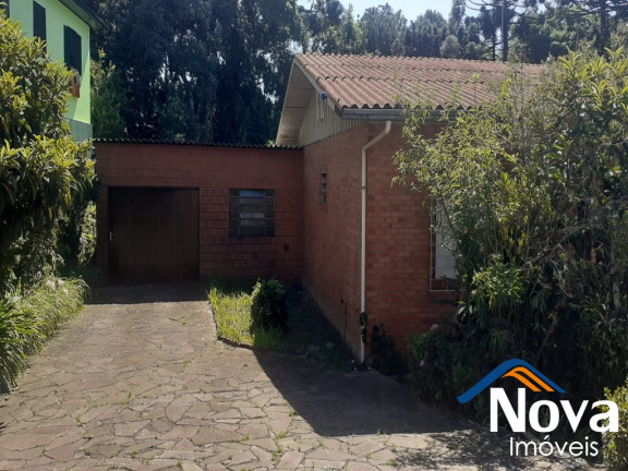 Imagem Imóvel com 2 Quartos à Venda, 1.193 m² em Vila Germânia - Nova Petrópolis Imagem Imóvel com 2 Quartos à Venda, 1.193 m² em Vila Germânia - Nova Petrópolis
