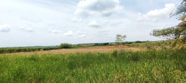 Imagem Terreno à Venda, 20.000 m² em área Rural De Iracemápolis - Iracemápolis Imagem Terreno à Venda, 20.000 m² em área Rural De Iracemápolis - Iracemápolis
