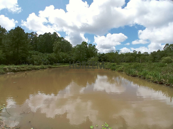 Imagem Chácara com 2 Quartos à Venda, 25.000 m² em Santo Onofre - Viamão