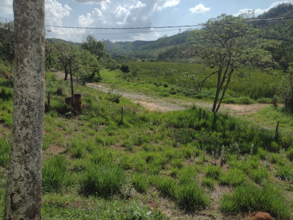 Imagem Fazenda à Venda, 100 m² em Centro - Guaratinguetá Imagem Fazenda à Venda, 100 m² em Centro - Guaratinguetá