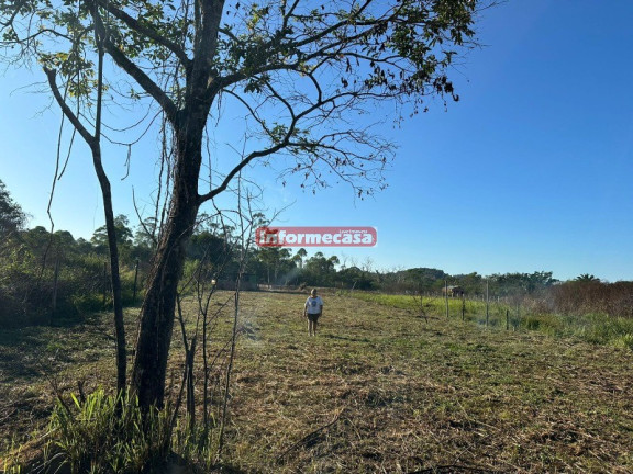 Imagem Terreno à Venda, 6.000 m² em Cidade Jardim Parque Estoril - Nova Iguaçu Imagem Terreno à Venda, 6.000 m² em Cidade Jardim Parque Estoril - Nova Iguaçu