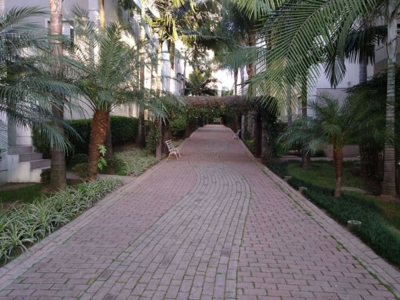 Imagem Cobertura com 3 Quartos à Venda, 110 m² em Cidade Dos Bandeirantes - São Paulo Imagem Cobertura com 3 Quartos à Venda, 110 m² em Cidade Dos Bandeirantes - São Paulo