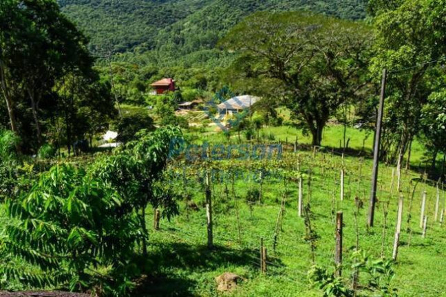 Imagem Chácara com 7 Quartos à Venda, 148.918 m² em Braço - Camboriú Imagem Chácara com 7 Quartos à Venda, 148.918 m² em Braço - Camboriú