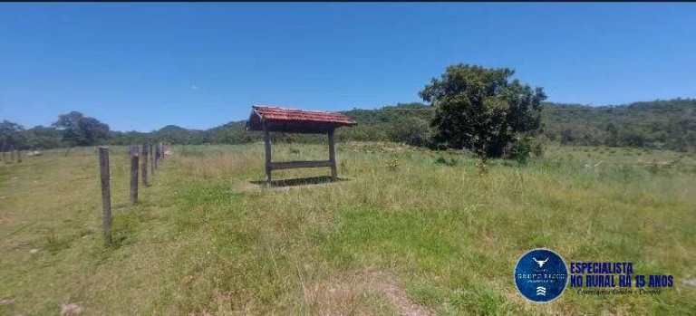 Imagem Fazenda à Venda, 14 m² em Zona Rural - Araguapaz Imagem Fazenda à Venda, 14 m² em Zona Rural - Araguapaz