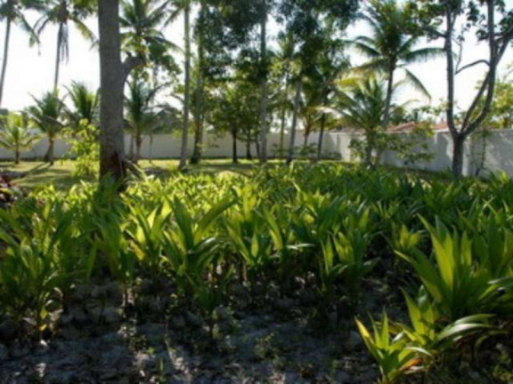 Imagem Imóvel à Venda, 19.000 m² em Centro - Canavieiras Imagem Imóvel à Venda, 19.000 m² em Centro - Canavieiras