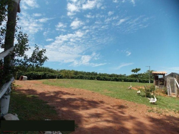 Imagem Imóvel com 2 Quartos à Venda, 42.350 m² em Sitio Novo - Artur Nogueira Imagem Imóvel com 2 Quartos à Venda, 42.350 m² em Sitio Novo - Artur Nogueira