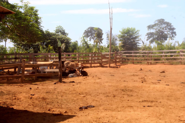 Imagem Fazenda à Venda, 207 m² em Barro Alto Imagem Fazenda à Venda, 207 m² em Barro Alto
