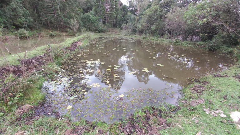 Imagem Imóvel com 3 Quartos à Venda, 11 m² em Olaria - Bocaiúva Do Sul Imagem Imóvel com 3 Quartos à Venda, 11 m² em Olaria - Bocaiúva Do Sul