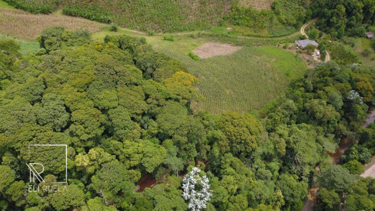 Imagem Chácara com 3 Quartos à Venda, 30.000 m² em Boa Esperança - Marechal Floriano Imagem Chácara com 3 Quartos à Venda, 30.000 m² em Boa Esperança - Marechal Floriano