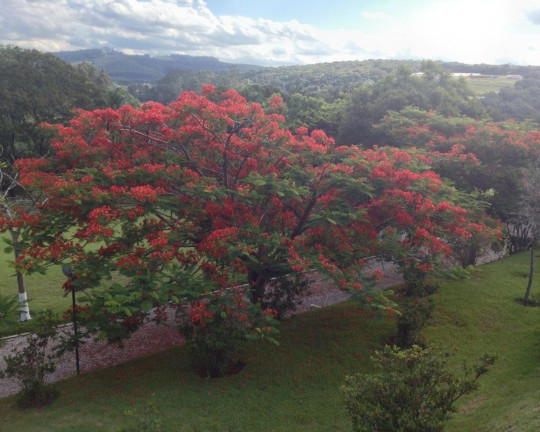 Imagem Imóvel com 10 Quartos à Venda, 600 m² em Jardim Maracanã - Atibaia Imagem Imóvel com 10 Quartos à Venda, 600 m² em Jardim Maracanã - Atibaia
