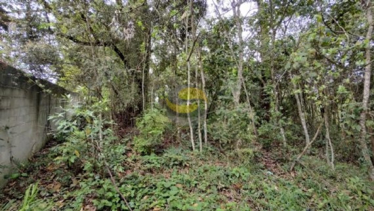 Imagem Terreno à Venda, 3.000 m² em Paisagem Renoir - Cotia
