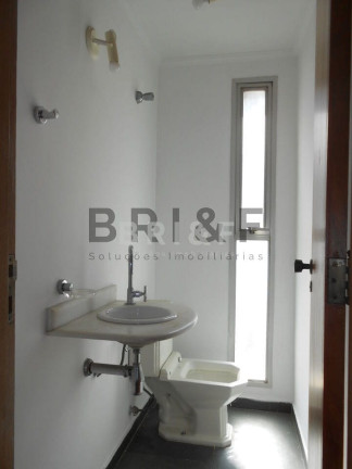 Imagem Apartamento com 4 Quartos para Alugar, 130 m² em Vila Suzana - São Paulo Imagem Apartamento com 4 Quartos para Alugar, 130 m² em Vila Suzana - São Paulo