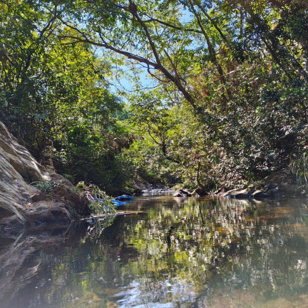 Imagem Chácara à Venda, 1 m² em Cuiabá Imagem Chácara à Venda, 1 m² em Cuiabá