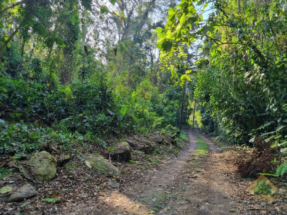 Imagem Terreno à Venda, 7.500 m² em Horto Florestal - Ubatuba