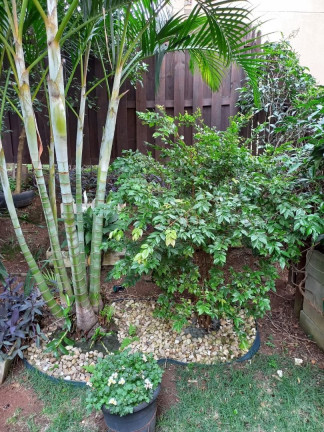 Imagem Apartamento com 2 Quartos à Venda, 53 m² em Jardim Sul - São José Dos Campos Imagem Apartamento com 2 Quartos à Venda, 53 m² em Jardim Sul - São José Dos Campos