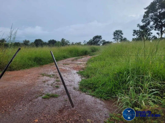Imagem Chácara à Venda, 15 m² em Zona Rural - Palmeiras De Goiás Imagem Chácara à Venda, 15 m² em Zona Rural - Palmeiras De Goiás