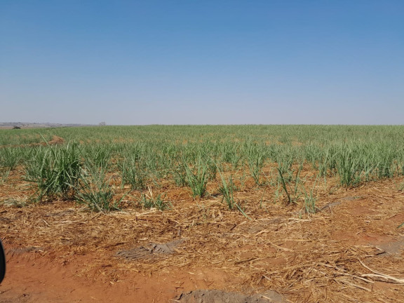 Imagem Imóvel à Venda, 40 m² em área Rural De Jales - Jales Imagem Imóvel à Venda, 40 m² em área Rural De Jales - Jales