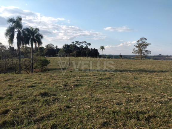 Imagem Imóvel à Venda, 242.000 m² em Santa Cruz Dos Matos - Itapetininga Imagem Imóvel à Venda, 242.000 m² em Santa Cruz Dos Matos - Itapetininga