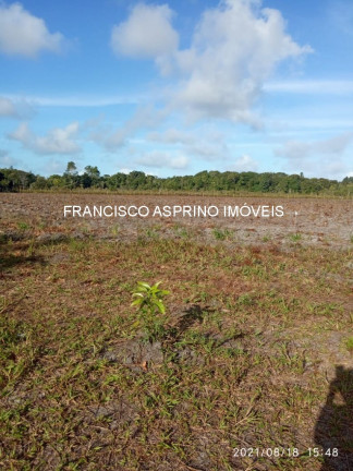 Imagem Imóvel com 2 Quartos à Venda, em Rural - Canavieiras Imagem Imóvel com 2 Quartos à Venda, em Rural - Canavieiras
