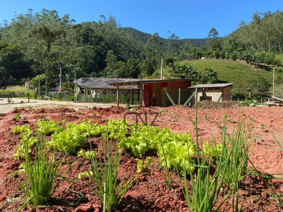 Imagem Imóvel com 2 Quartos à Venda, 9.000 m² em Centro - Botuverá Imagem Imóvel com 2 Quartos à Venda, 9.000 m² em Centro - Botuverá