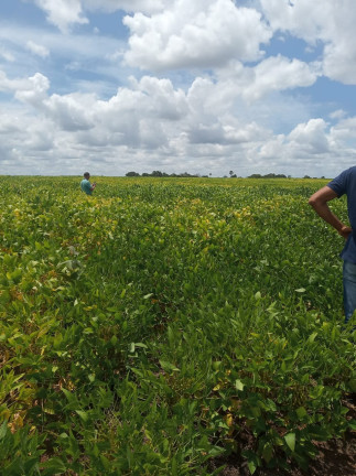 Imagem Imóvel à Venda,  em Colinas Do Tocantins/to - Colinas Do Tocantins