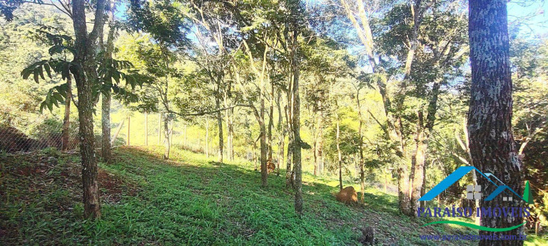 Imagem Chácara à Venda, 1 m² em Centro - Gonçalves