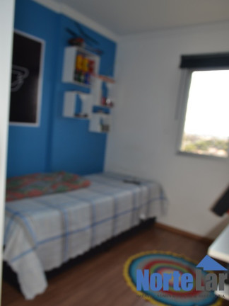 Imagem Apartamento com 3 Quartos à Venda, 73 m² em Vila Amélia - São Paulo Imagem Apartamento com 3 Quartos à Venda, 73 m² em Vila Amélia - São Paulo
