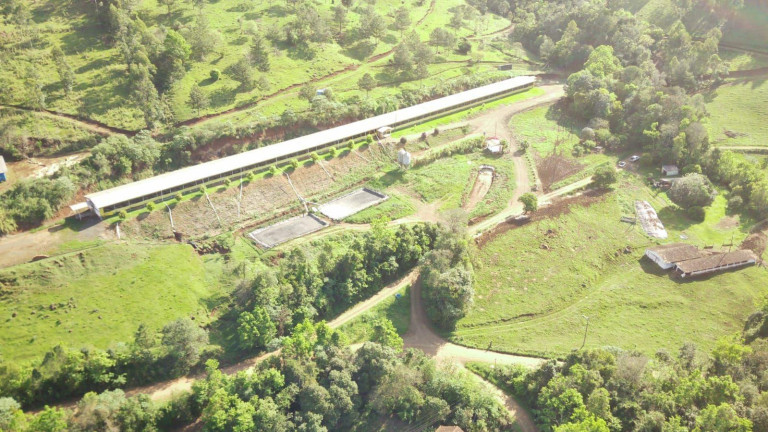 Imagem Imóvel à Venda, 510.000 m² em Rural - Arabuta Imagem Imóvel à Venda, 510.000 m² em Rural - Arabuta