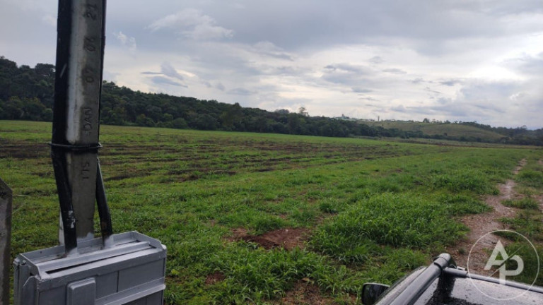 Imagem Terreno à Venda, 81.332 m² em Colônia Dona Luíza - Ponta Grossa