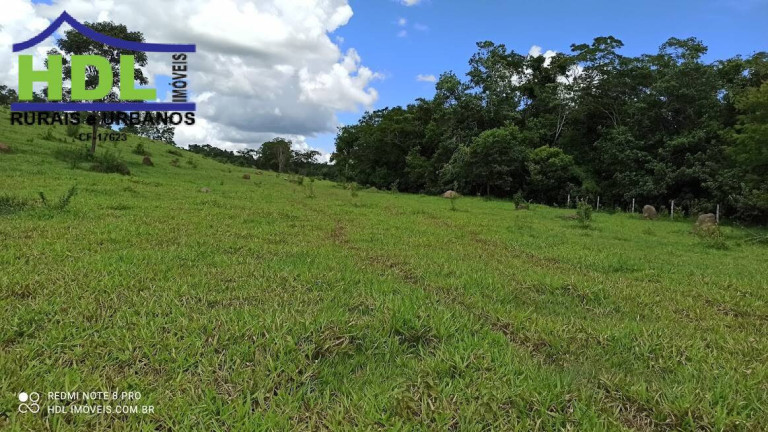 Imagem Fazenda à Venda, 21 m² em Zona Rural - Hidrolândia Imagem Fazenda à Venda, 21 m² em Zona Rural - Hidrolândia