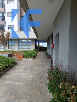 Imagem Imóvel com 3 Quartos à Venda, 87 m² em Jardim Brasil - Campinas Imagem Imóvel com 3 Quartos à Venda, 87 m² em Jardim Brasil - Campinas